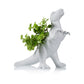 Plantosaurus rex planter | Bitten design