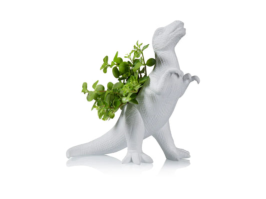 Plantosaurus rex planter | Bitten design