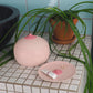 Boob pot | Bitten design