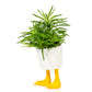 Eenden planter -  small | Bitten design