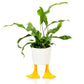 Eenden planter -  small | Bitten design