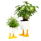 Eenden planter -  small | Bitten design