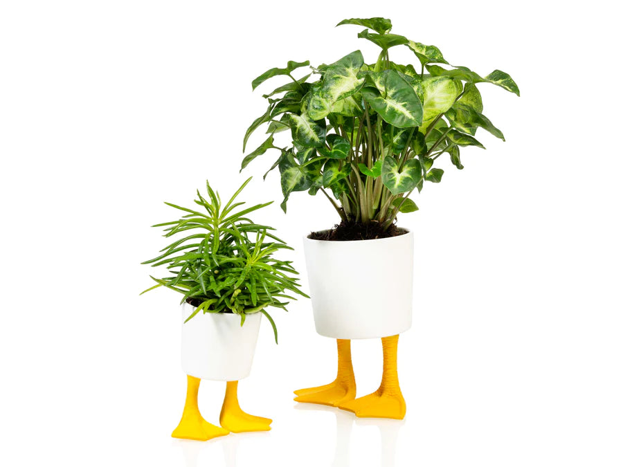 Eenden planter -  small | Bitten design