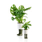Regenlaarzen planter -  groen - small | Bitten design