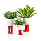 Regenlaarzen planter -  rood - small | Bitten design