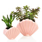 Schelp planter -  roze - small | Bitten design
