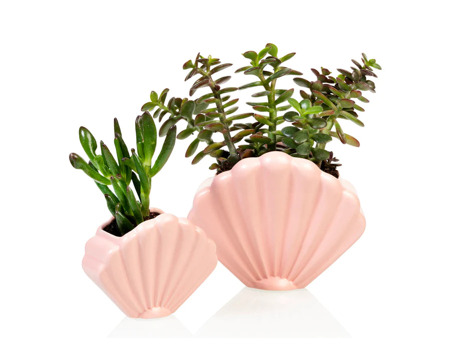 Schelp planter -  roze - small | Bitten design