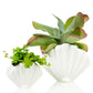 Schelp planter -  wit - large | Bitten design