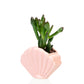 Schelp planter -  roze - small | Bitten design