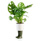 Regenlaarzen planter -  groen - large | Bitten design