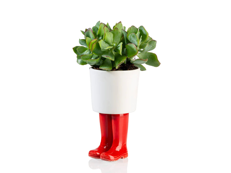 Regenlaarzen planter -  rood - large | Bitten design