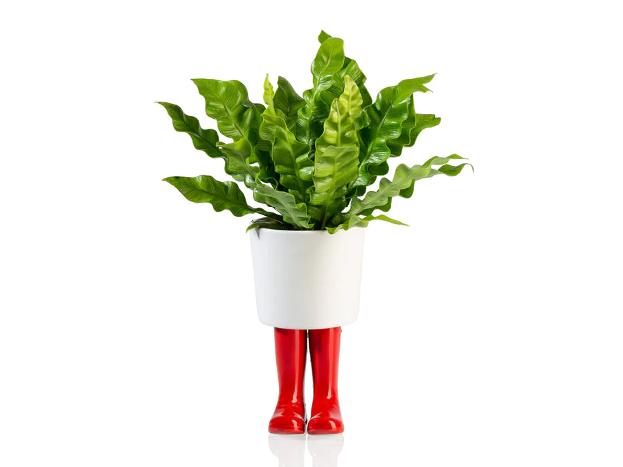 Regenlaarzen planter -  rood - large | Bitten design
