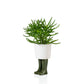 Regenlaarzen planter -  groen - small | Bitten design