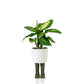 Regenlaarzen planter -  groen - small | Bitten design