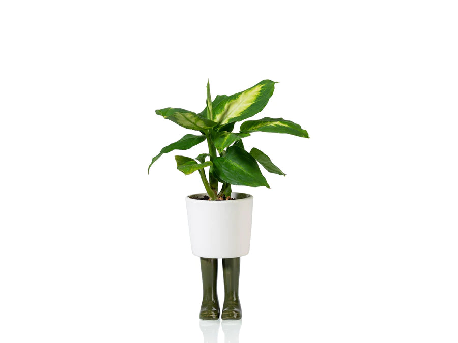 Regenlaarzen planter -  groen - small | Bitten design