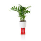 Regenlaarzen planter -  rood - small | Bitten design