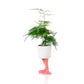 Flamingo planter -  small | Bitten design