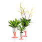Flamingo planter -  large | Bitten design