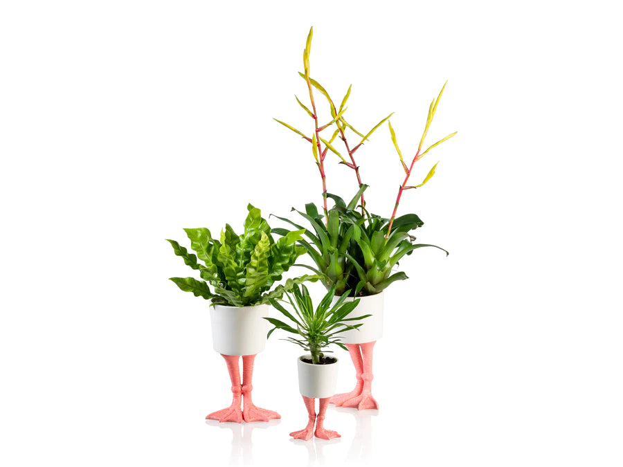Flamingo planter -  large | Bitten design
