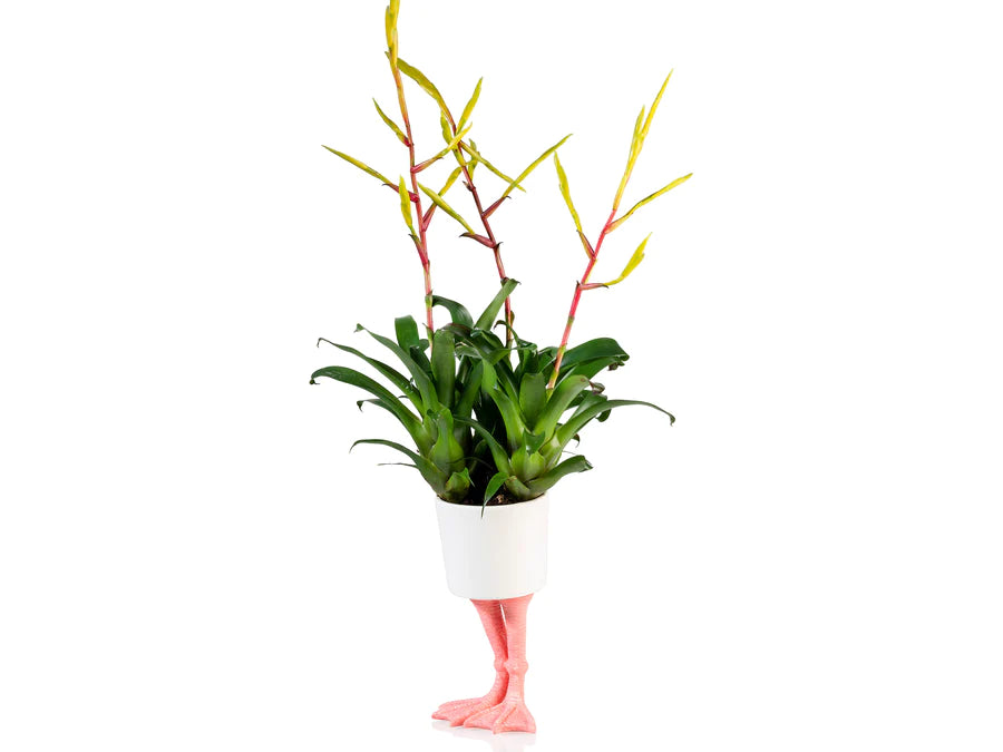 Flamingo planter -  large | Bitten design