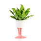 Flamingo planter -  large | Bitten design
