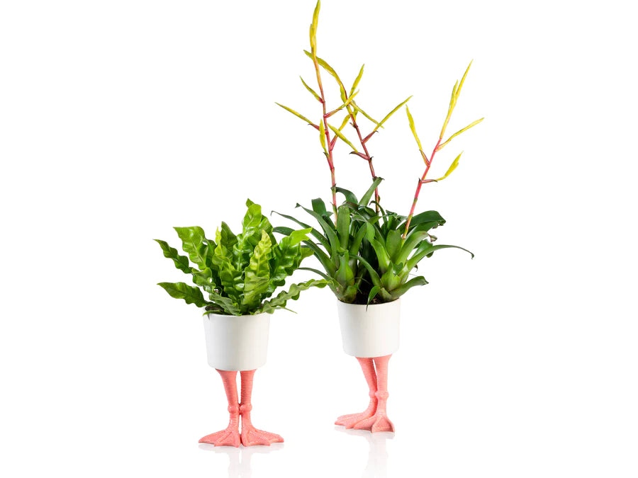 Flamingo planter -  large | Bitten design