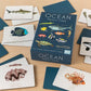 Oceaan memoryspel | Rex