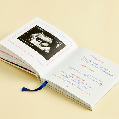 9 maanden logboek | Stratier - de inKijk