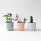 Charlie planter/ theelichthouder - Ø 7 cm - slate blue | House Raccoon