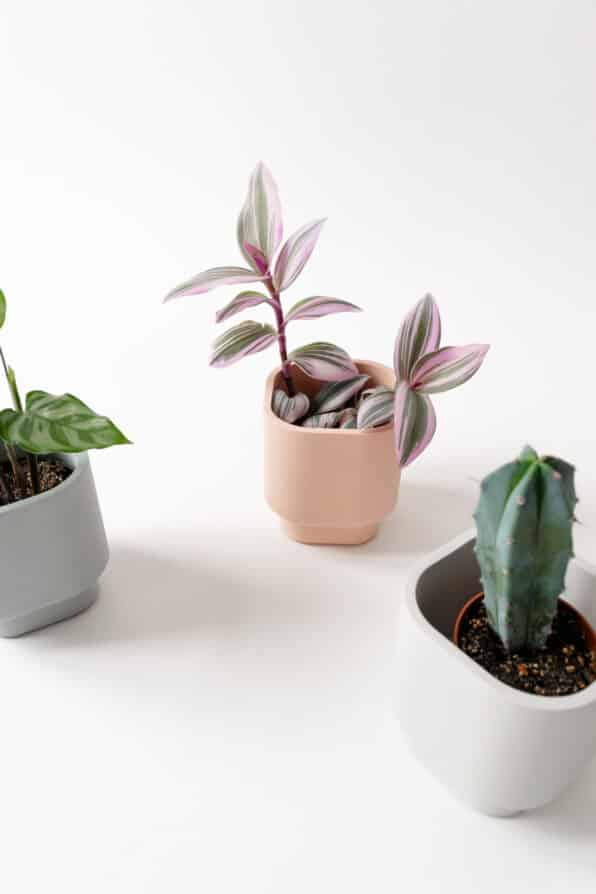 Charlie planter/ theelichthouder - Ø 7 cm - pearl grey | House Raccoon