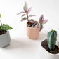 Charlie planter/ theelichthouder - Ø 7 cm - slate blue | House Raccoon