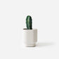 Charlie planter/ theelichthouder - Ø 7 cm - pearl grey | House Raccoon