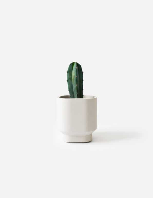 Charlie planter/ theelichthouder - Ø 7 cm - pearl grey | House Raccoon