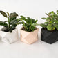 Palua planter - Ø 5,5 cm - silver green | House Raccoon