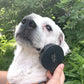 Hond spa kit | Kikkerland