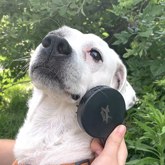 Hond spa kit | Kikkerland