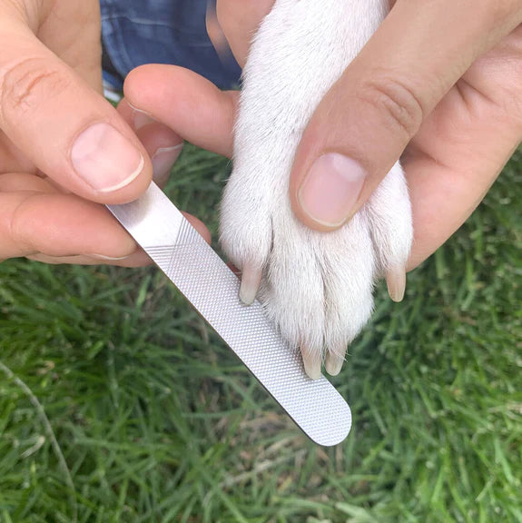 Hond spa kit | Kikkerland