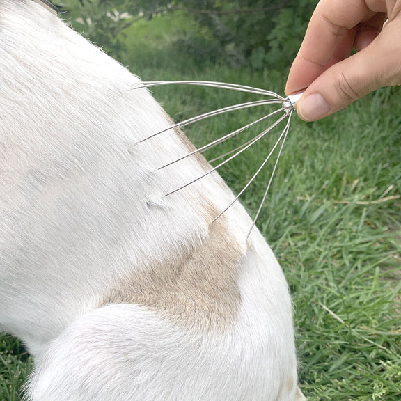 Hond spa kit | Kikkerland