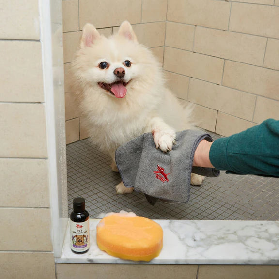 Hond bad kit | Kikkerland - de inKijk