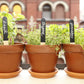 Herbruikbare plantmarkeerders - set v. 12 + krijt | Kikkerland