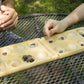 Mancala spel | Kikkerland