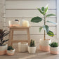 Planters - Ecru Fluo orange - XS/S/M | Koba Handmade - de inKijk
