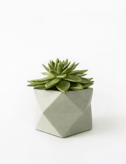 Palua planter - Ø8,5cm - olive green | House Raccoon - de inKijk