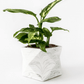 Palua planter - Ø8,5cm - white marble | House Raccoon