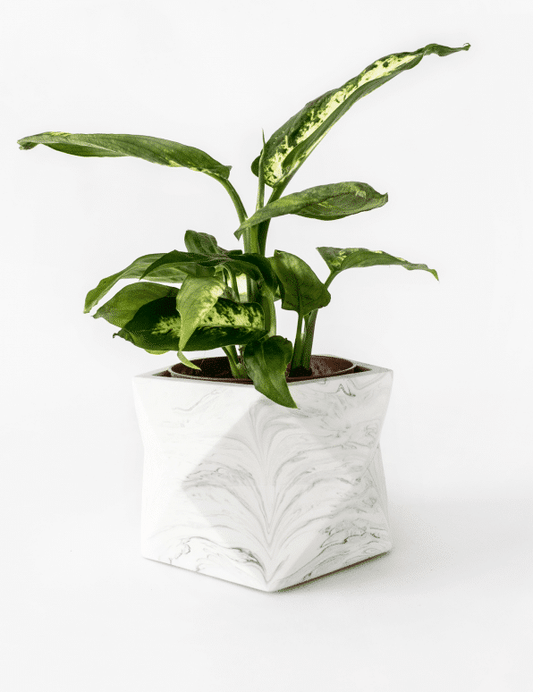 Palua planter - Ø8,5cm - white marble | House Raccoon