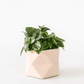 Palua planter - Ø 5,5 cm - millennial pink | House Raccoon