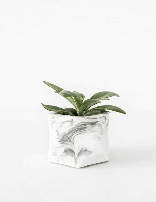 Palua planter - Ø 5,5 cm - white marble | House Raccoon - de inKijk