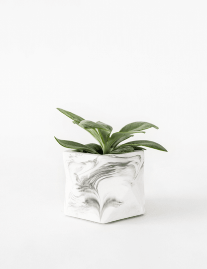 Palua planter - Ø 5,5 cm - white marble | House Raccoon - de inKijk