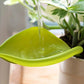 Leaflow - pot watering funnel | PELEGDESIGN