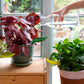 Leaflow - pot watering funnel | PELEGDESIGN
